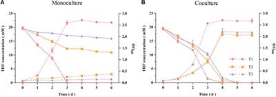 Thiamine-Mediated Cooperation Between Auxotrophic Rhodococcus ruber ZM07 and Escherichia coli K12 Drives Efficient Tetrahydrofuran Degradation